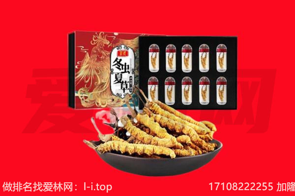 睢宁县回收虫草.jpg